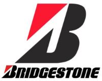 Диджей на празднике компании Bridgestone